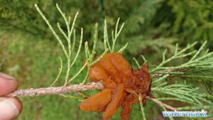 DSC_2357.JPG