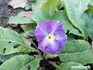 IMG_20201016_175838.jpg
