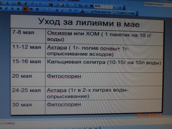 155712169780378950.jpg