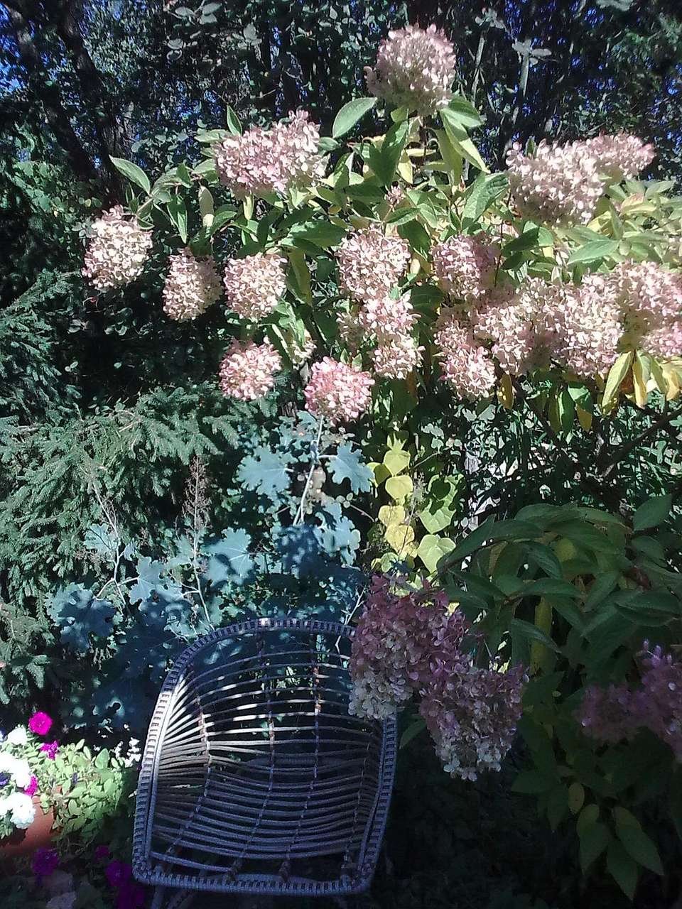 141787865493003866.jpg