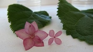 image (2).jpg