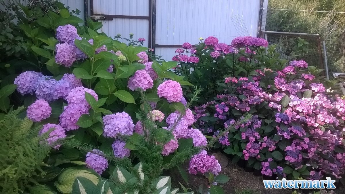 WP_20170820_09_45_45_Pro.jpg