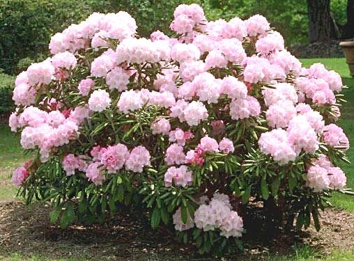 130013861660009232.jpg