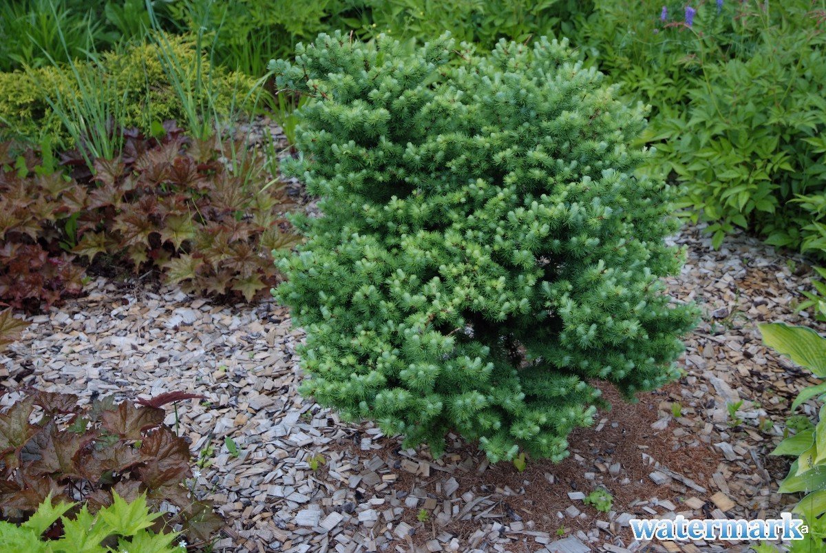 DSCF2951.JPG