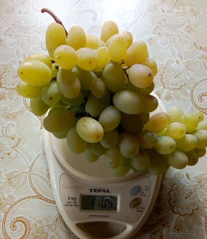 157226014407537497.jpg