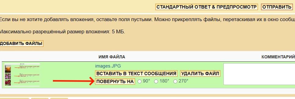 images1.JPG