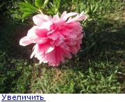 14800089171568461.jpg