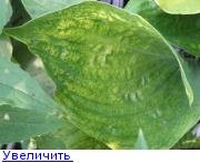 14203760734012411.jpg