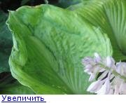 14203761441527855.jpg