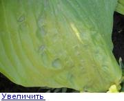142037599754667593.jpg